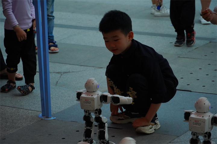 DSC04821.jpg
